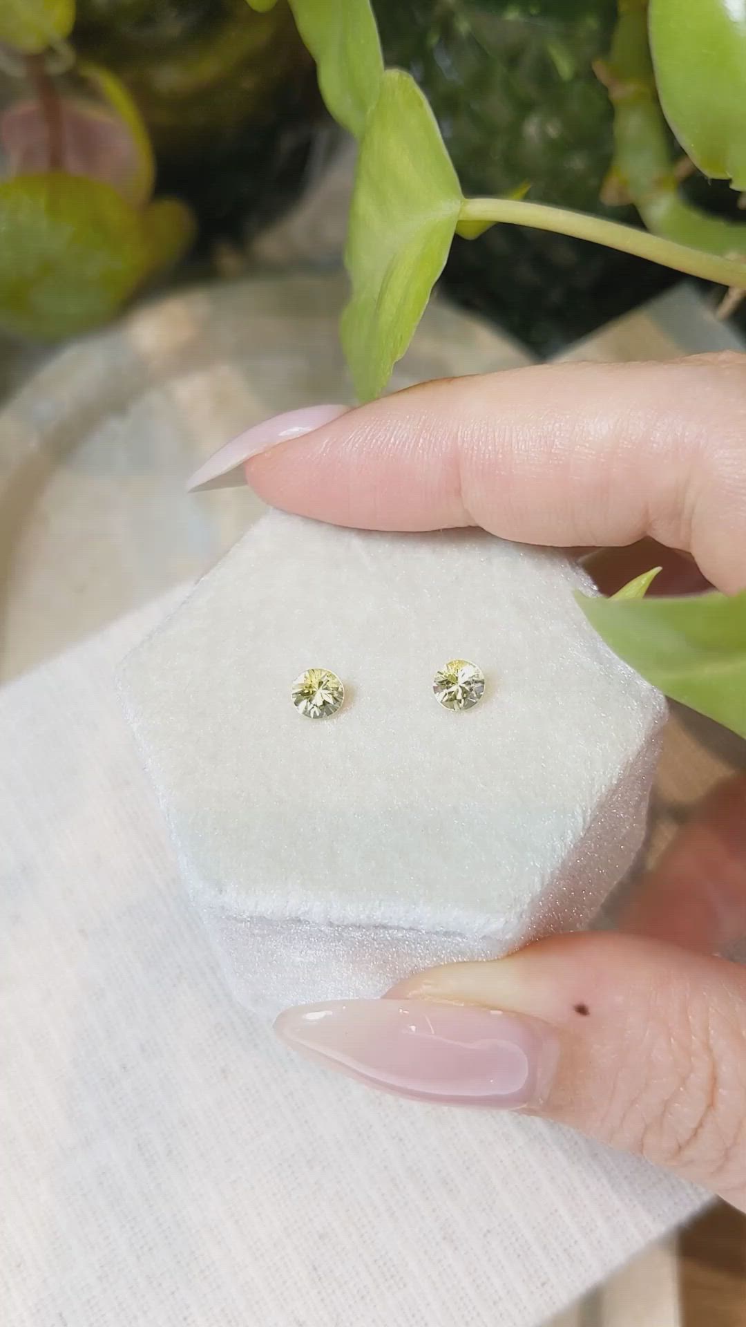 0.80 Ct.Tw.Total Carat Weight Yellow Sapphire Pair from Ceylon (Sri Lanka) Size Video