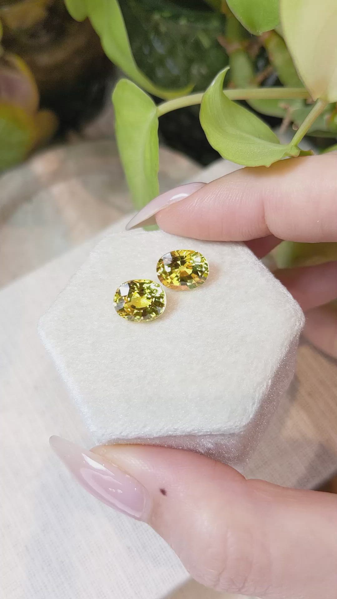 7.17 Ct.Tw.Total Carat Weight Yellow Sapphire Pair from Ceylon (Sri Lanka) Size Video