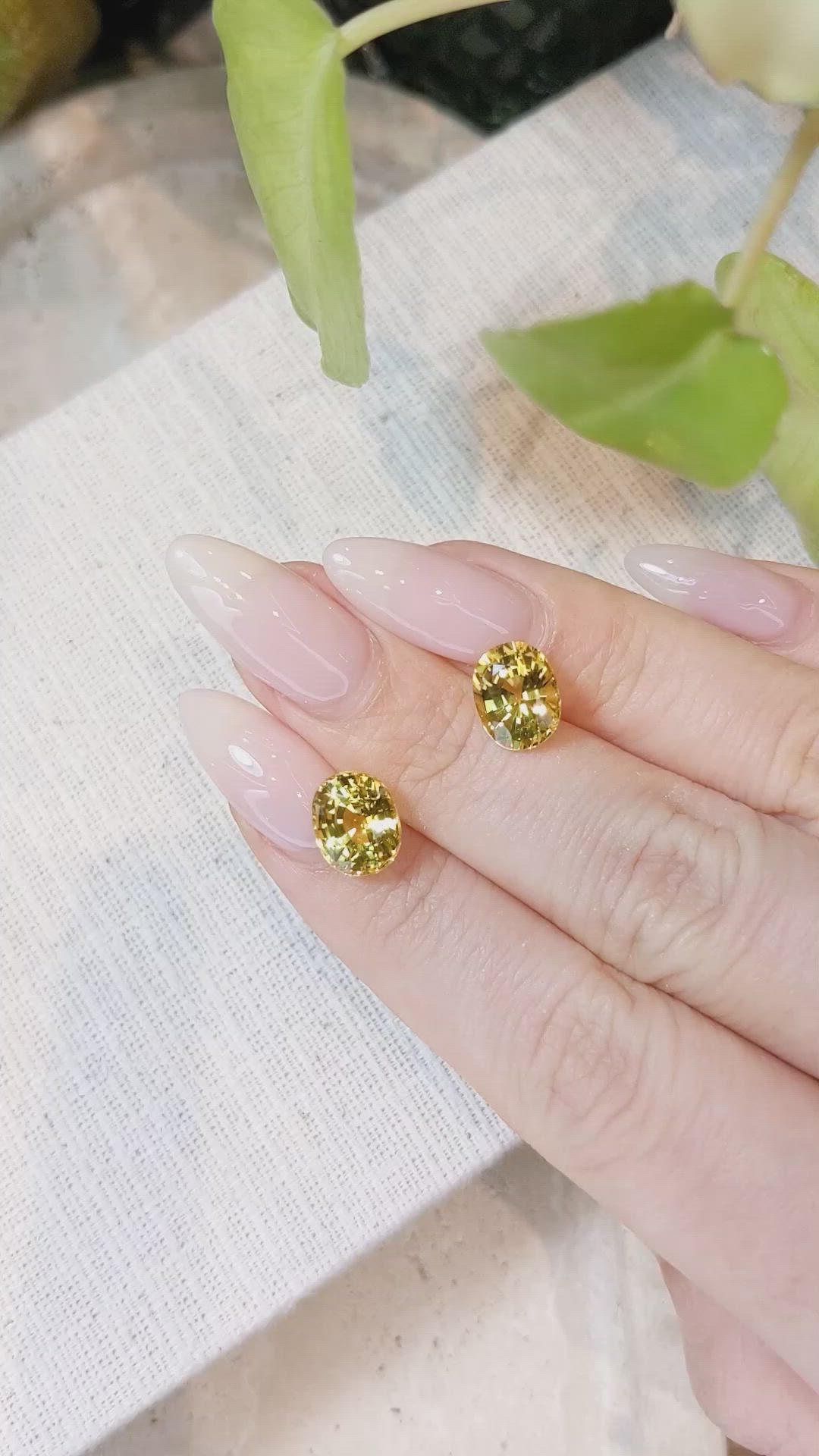 7.17 Ct.Tw.Total Carat Weight Yellow Sapphire Pair from Ceylon (Sri Lanka) Size Video