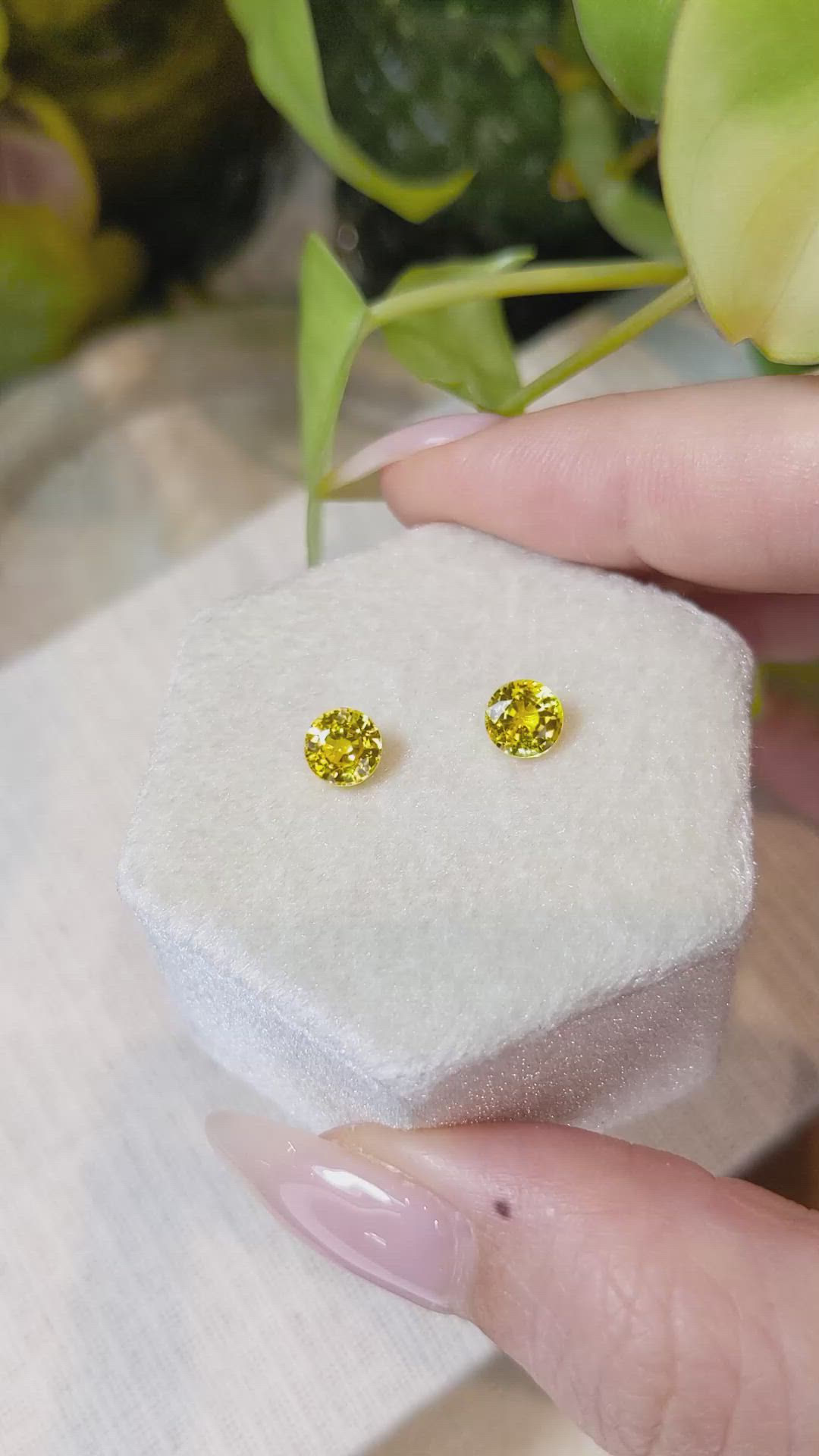 1.86 Ct.Tw.Total Carat Weight Yellow Sapphire Pair from Ceylon (Sri Lanka) Size Video