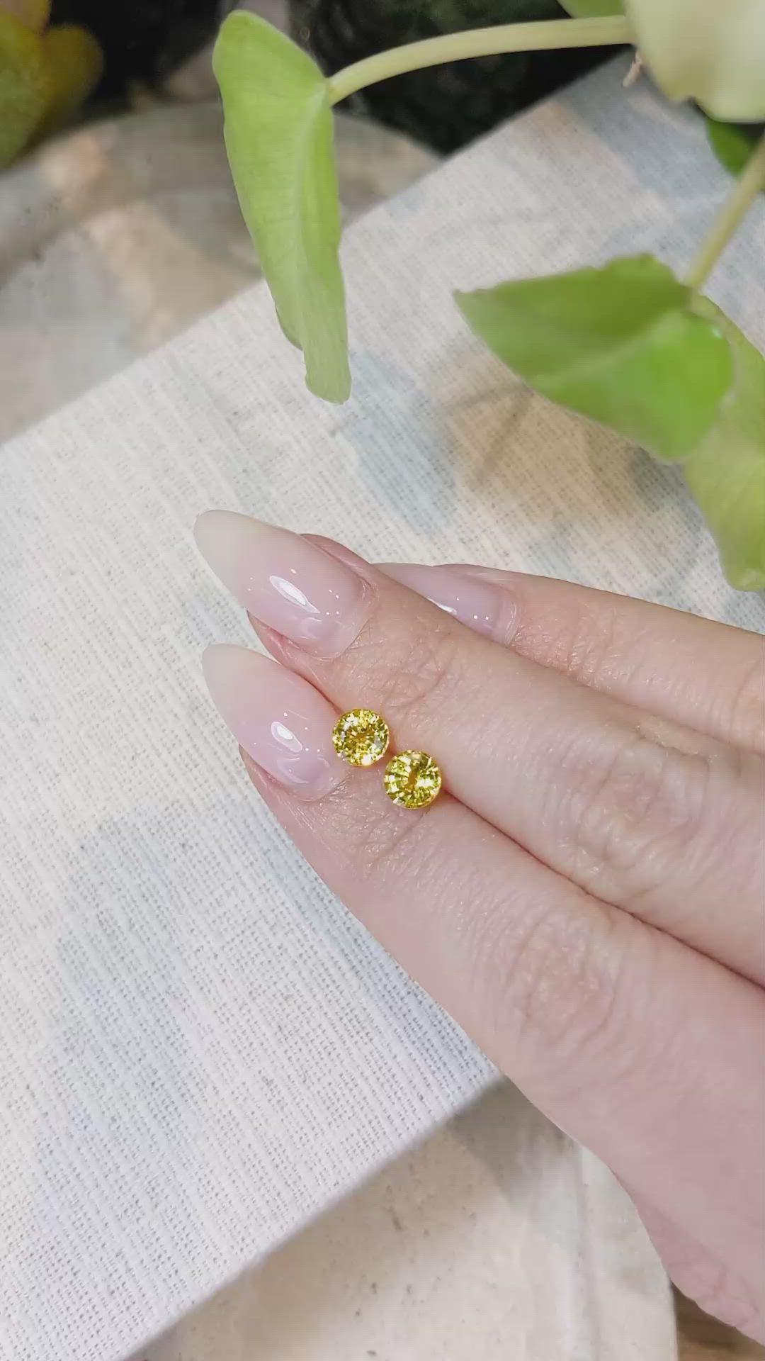 1.86 Ct.Tw.Total Carat Weight Yellow Sapphire Pair from Ceylon (Sri Lanka) Size Video