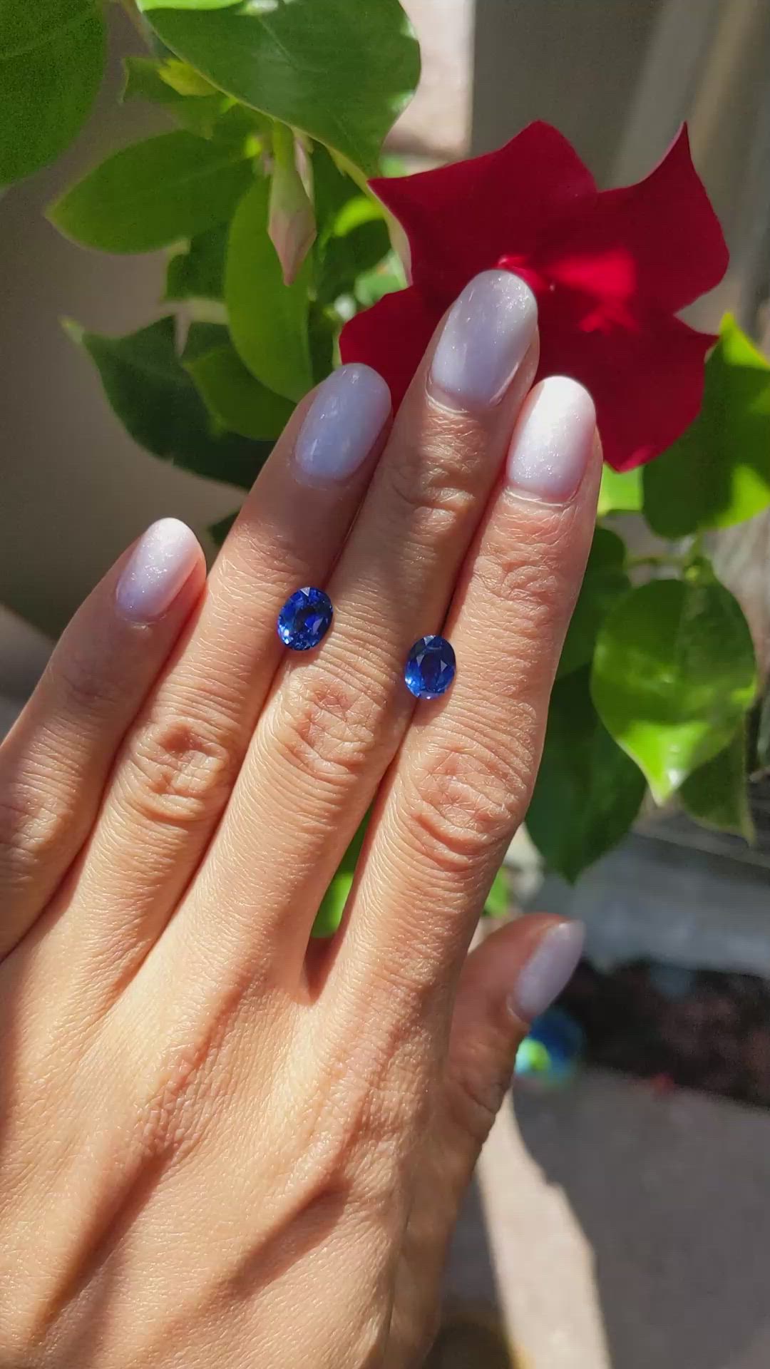 3.05 Ct.Tw.Total Carat Weight Blue Sapphire Pair from Ceylon (Sri Lanka) Size Video