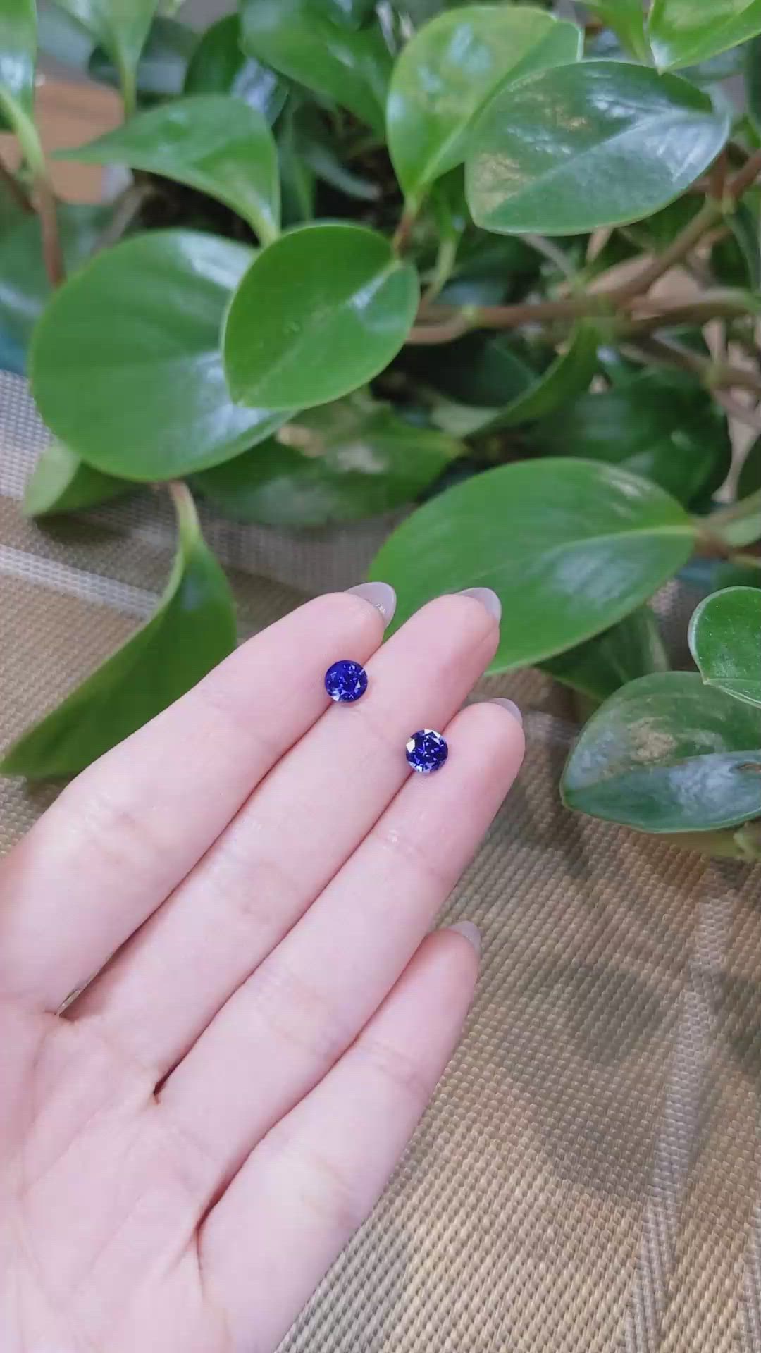 1.66&nbsp;Ct.Tw.Total Carat Weight Blue Sapphire Pair from Ceylon (Sri Lanka) Size Video