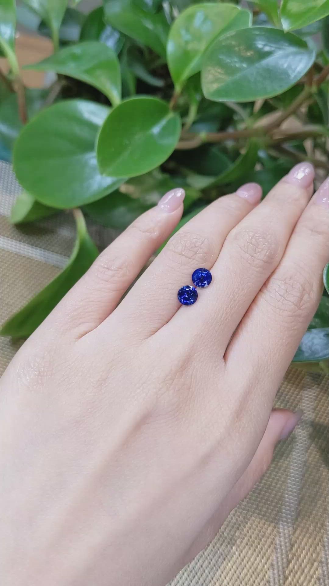 1.66&nbsp;Ct.Tw.Total Carat Weight Blue Sapphire Pair from Ceylon (Sri Lanka) Size Video
