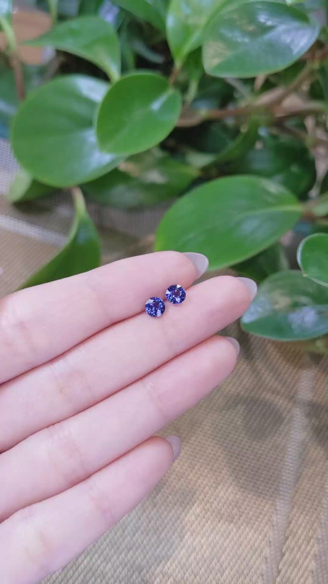 1.17&nbsp;Ct.Tw.Total Carat Weight Blue Sapphire Pair from Ceylon (Sri Lanka) Size Video