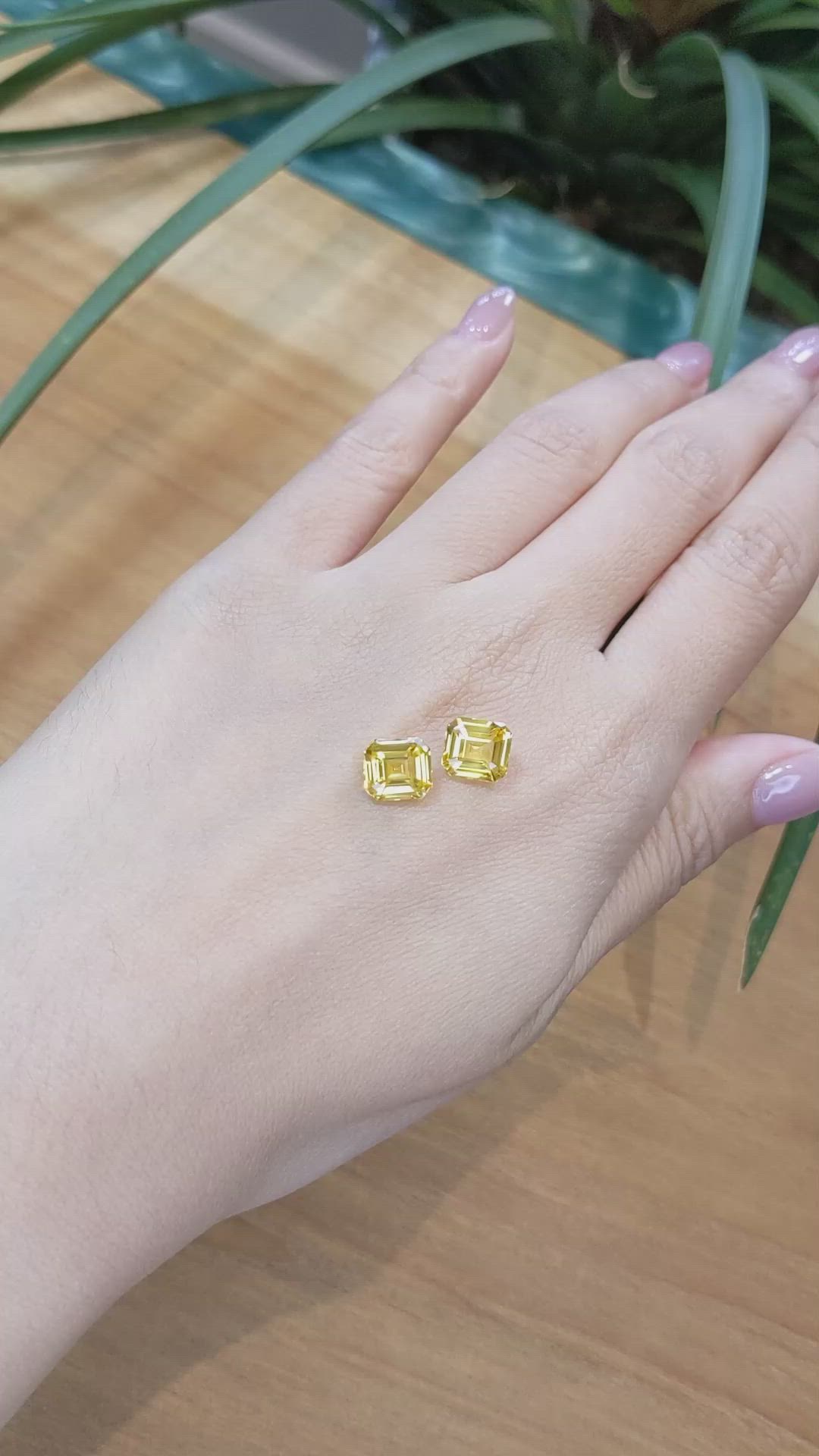 6.12 Ct.Tw.Total Carat Weight Yellow Sapphire Pair from Ceylon (Sri Lanka) Size Video