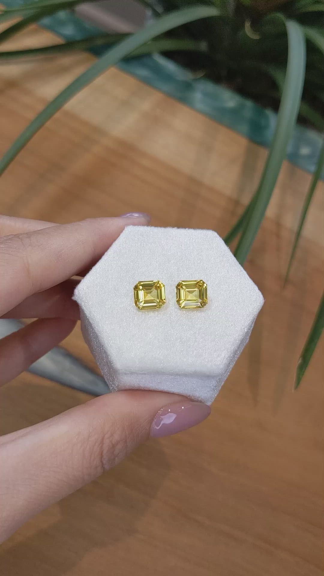 6.12 Ct.Tw.Total Carat Weight Yellow Sapphire Pair from Ceylon (Sri Lanka) Size Video