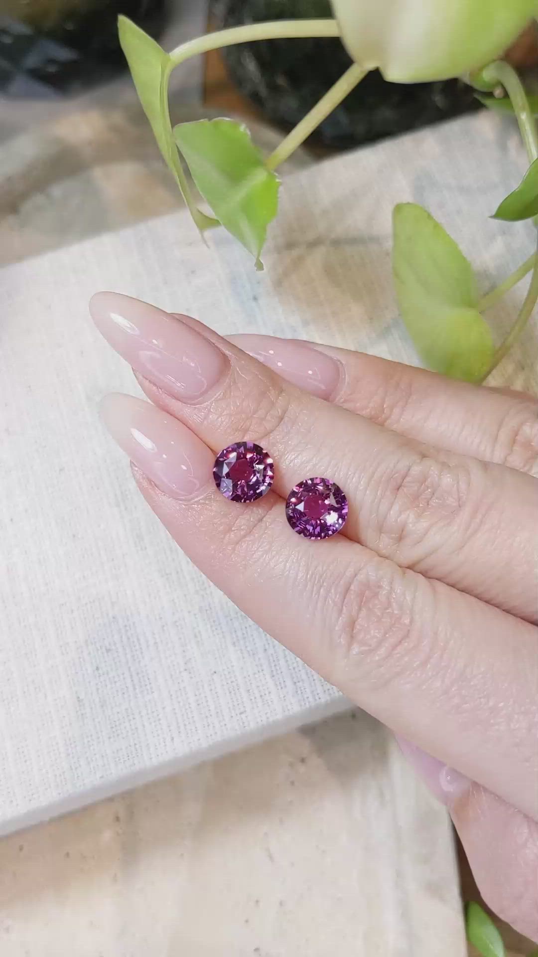 5.08 Ct.Tw.Total Carat Weight Purplish Pink Sapphire Pair from Ceylon (Sri Lanka) Size Video