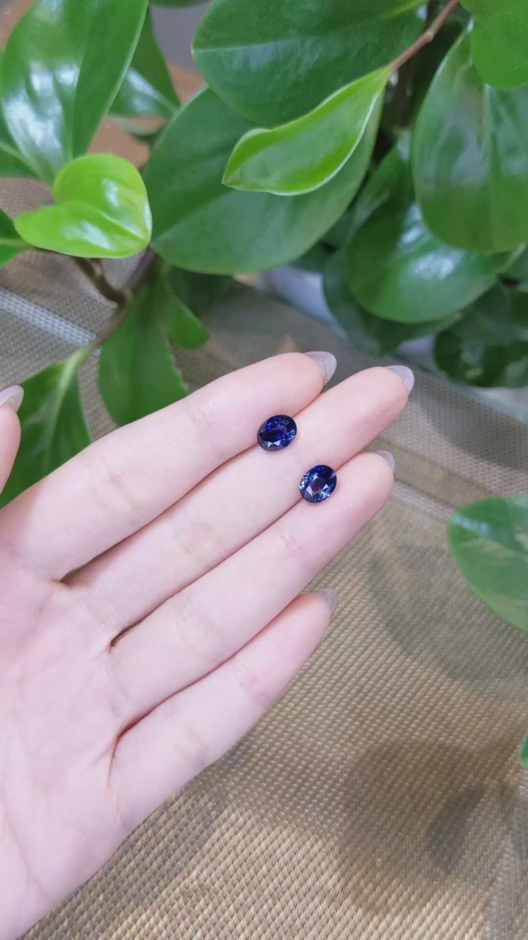 3.64 Ct.Tw.Total Carat Weight Blue Sapphire Pair from Ceylon (Sri Lanka) Size Video