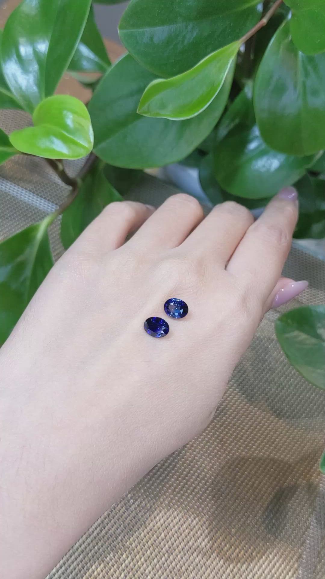 3.64 Ct.Tw.Total Carat Weight Blue Sapphire Pair from Ceylon (Sri Lanka) Size Video