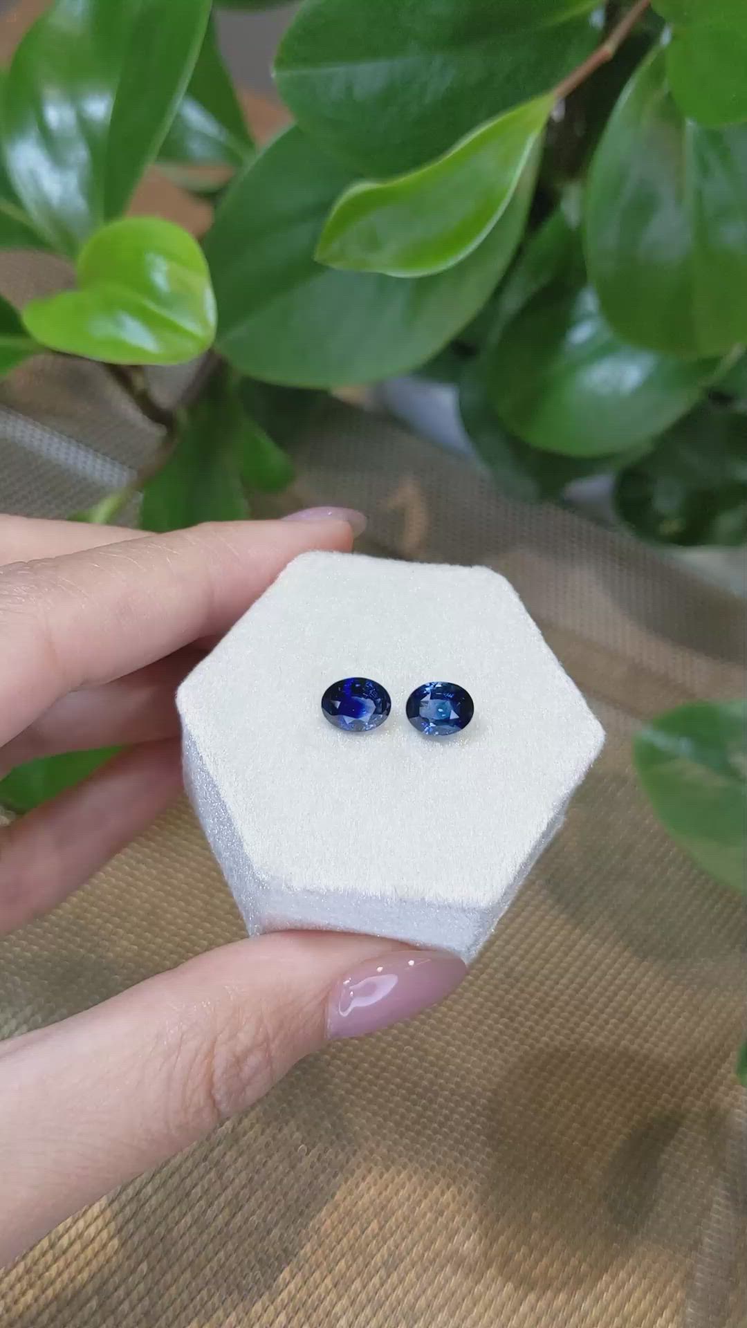 3.64 Ct.Tw.Total Carat Weight Blue Sapphire Pair from Ceylon (Sri Lanka) Size Video