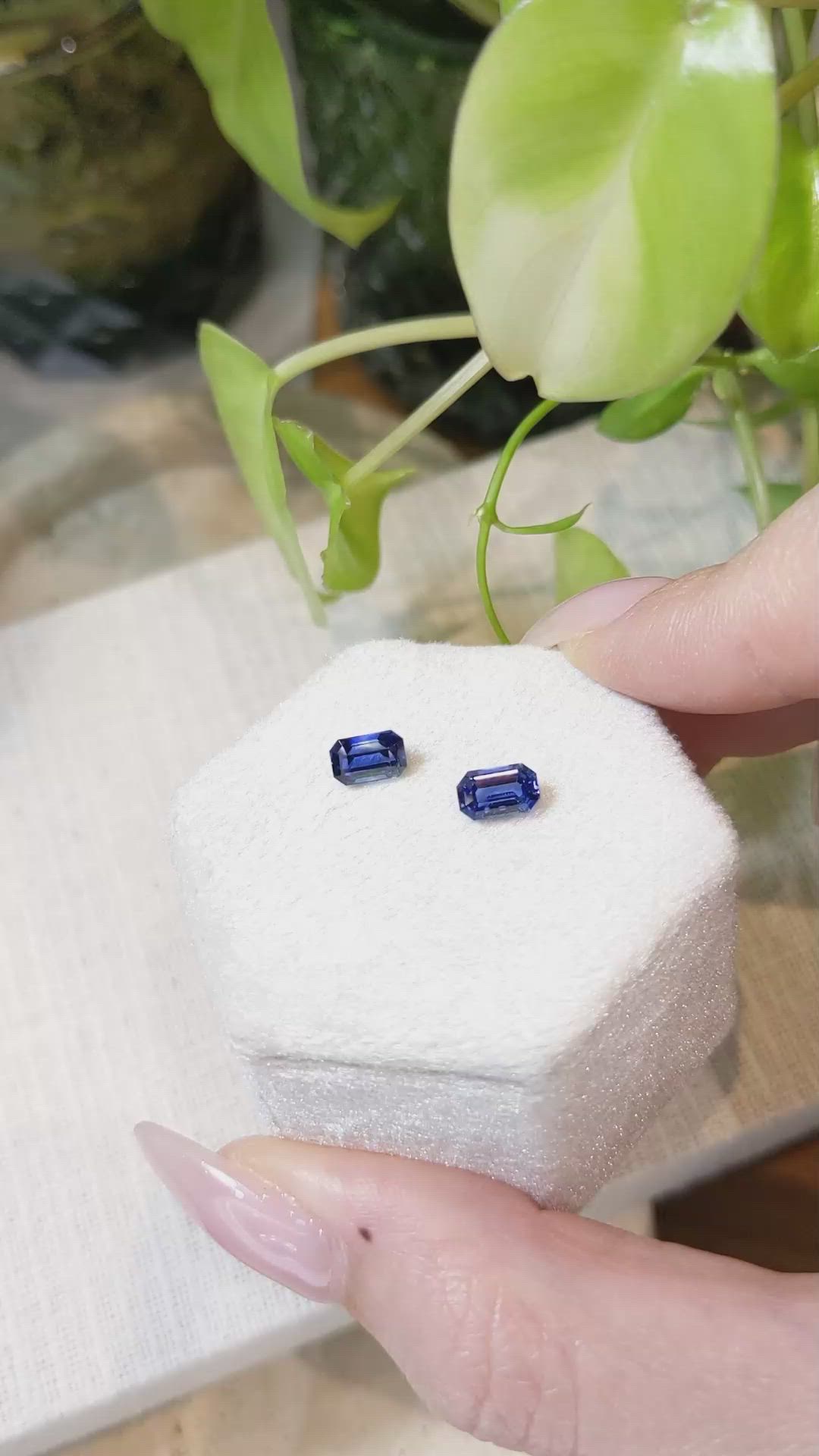 2.23 Ct.Tw.Total Carat Weight Blue Sapphire Pair from Ceylon (Sri Lanka) Size Video