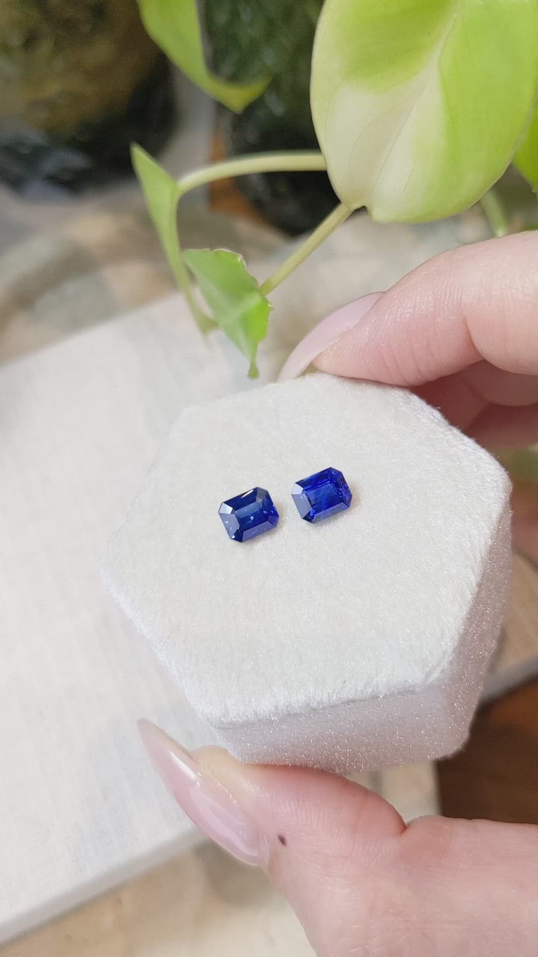 2.23 Ct.Tw.Total Carat Weight Blue Sapphire Pair from Ceylon (Sri Lanka) Size Video