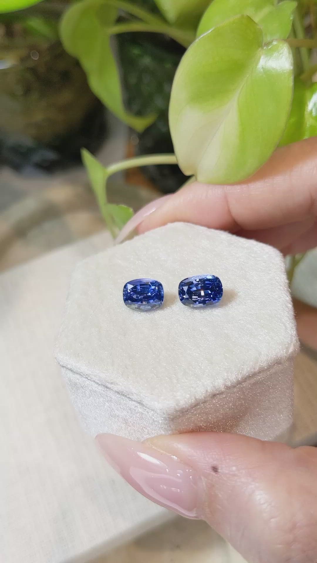 4.19 Ct.Tw.Total Carat Weight Blue Sapphire Pair from Ceylon (Sri Lanka) Size Video