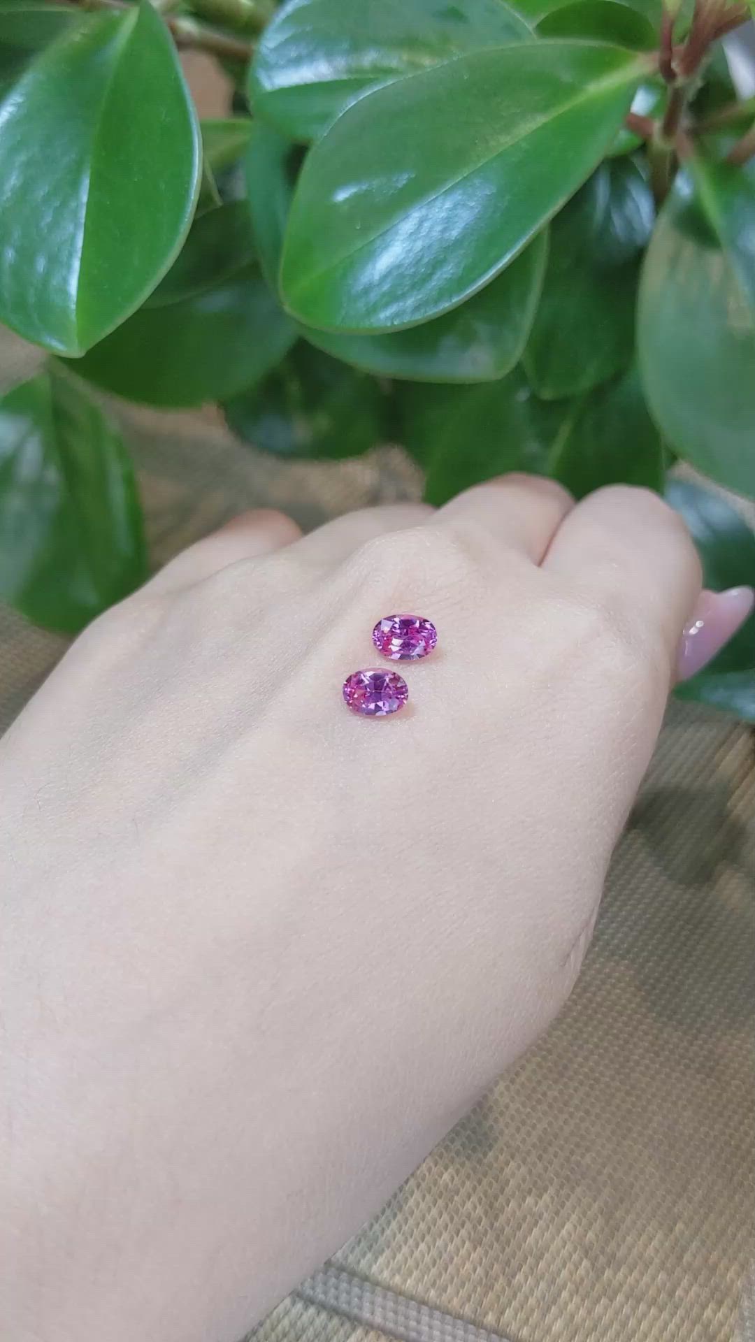 1.97&nbsp;Ct.Tw.Total Carat Weight Pink Sapphire Pair from Ceylon (Sri Lanka) Size Video