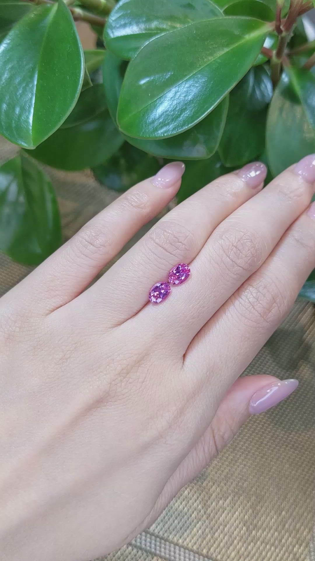 1.97&nbsp;Ct.Tw.Total Carat Weight Pink Sapphire Pair from Ceylon (Sri Lanka) Size Video