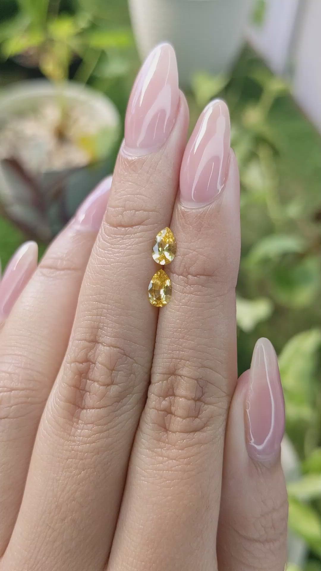 0.79&nbsp;Ct.Tw.Total Carat Weight Yellow Sapphire Pair from Ceylon (Sri Lanka) Size Video