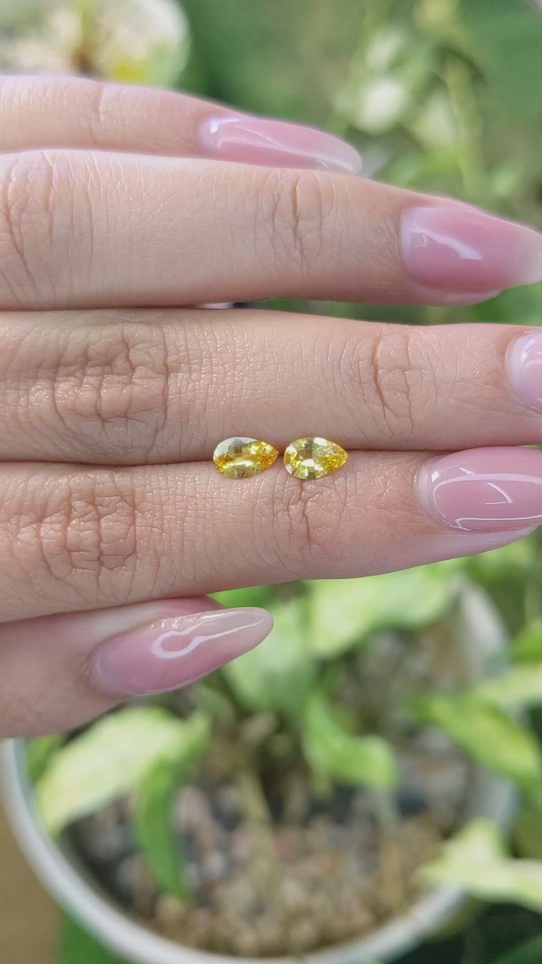 0.79&nbsp;Ct.Tw.Total Carat Weight Yellow Sapphire Pair from Ceylon (Sri Lanka) Size Video