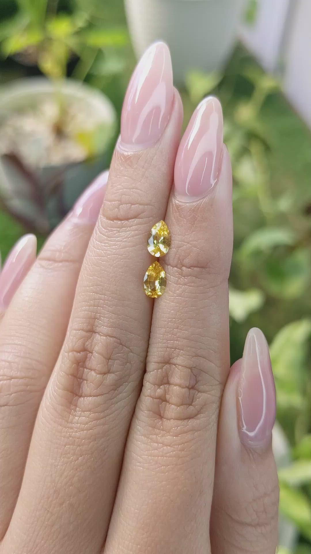 0.79&nbsp;Ct.Tw.Total Carat Weight Yellow Sapphire Pair from Ceylon (Sri Lanka) Size Video