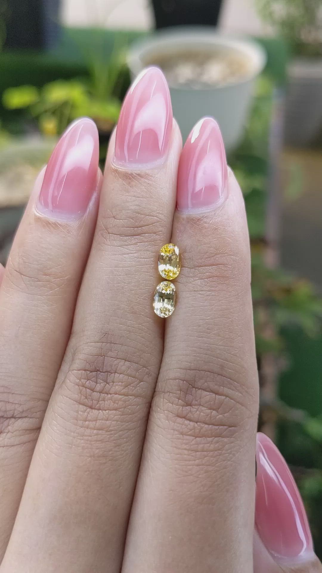 1.19 Ct.Tw.Total Carat Weight Yellow Sapphire Pair from Ceylon (Sri Lanka) Size Video