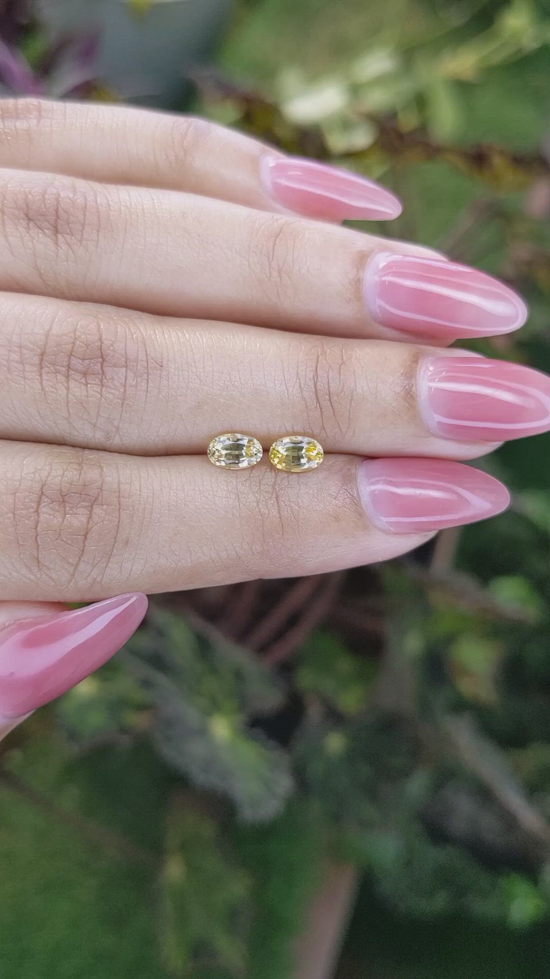 1.19 Ct.Tw.Total Carat Weight Yellow Sapphire Pair from Ceylon (Sri Lanka) Size Video