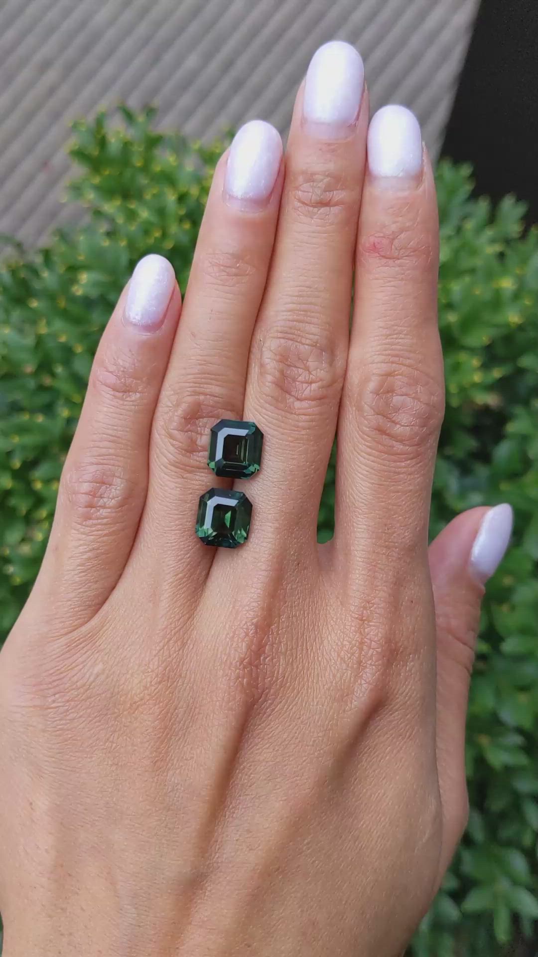 9.27&nbsp;Ct.Tw.Total Carat Weight Brownish Green Sapphire Pair from Ceylon (Sri Lanka) Size Video