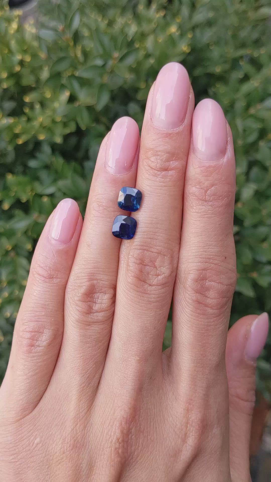 3.62 Ct.Tw.Total Carat Weight Blue Sapphire Pair from Ceylon (Sri Lanka) Size Video