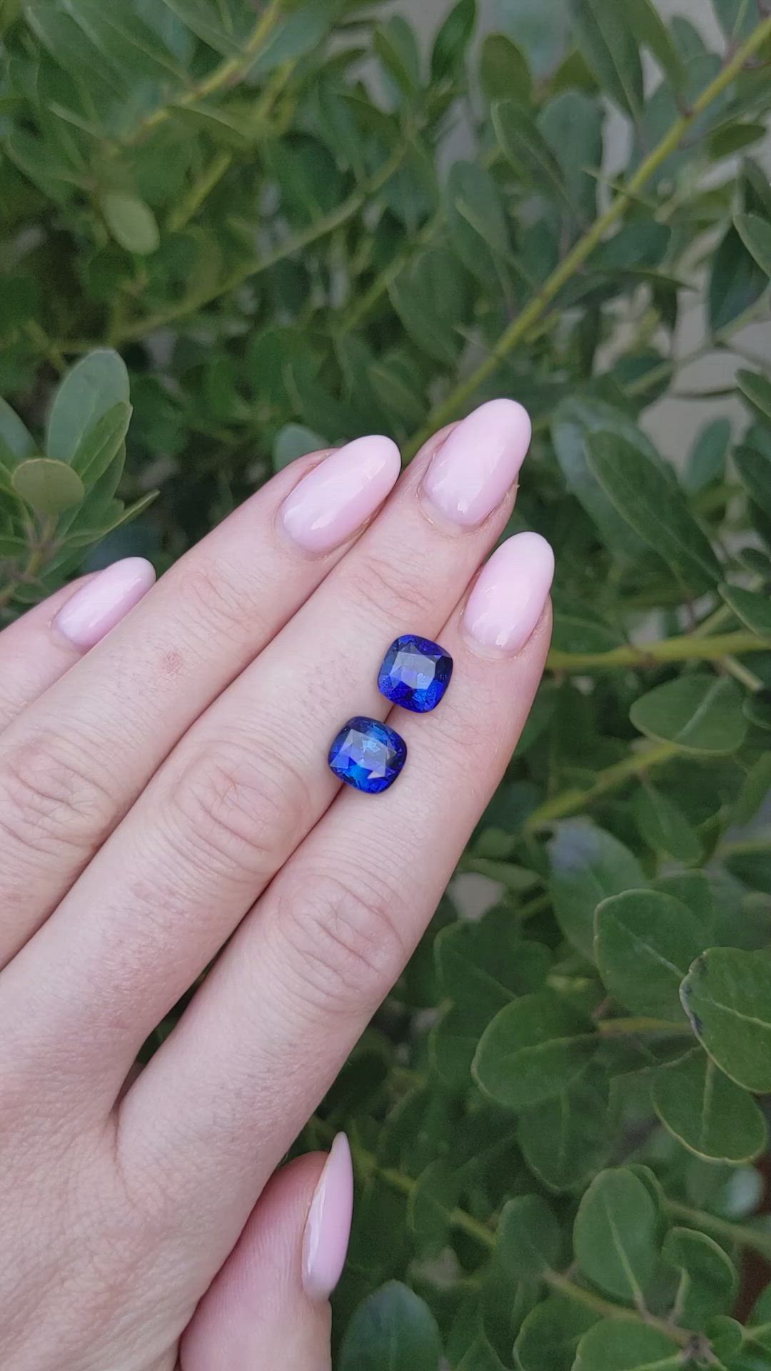 3.62 Ct.Tw.Total Carat Weight Blue Sapphire Pair from Ceylon (Sri Lanka) Size Video