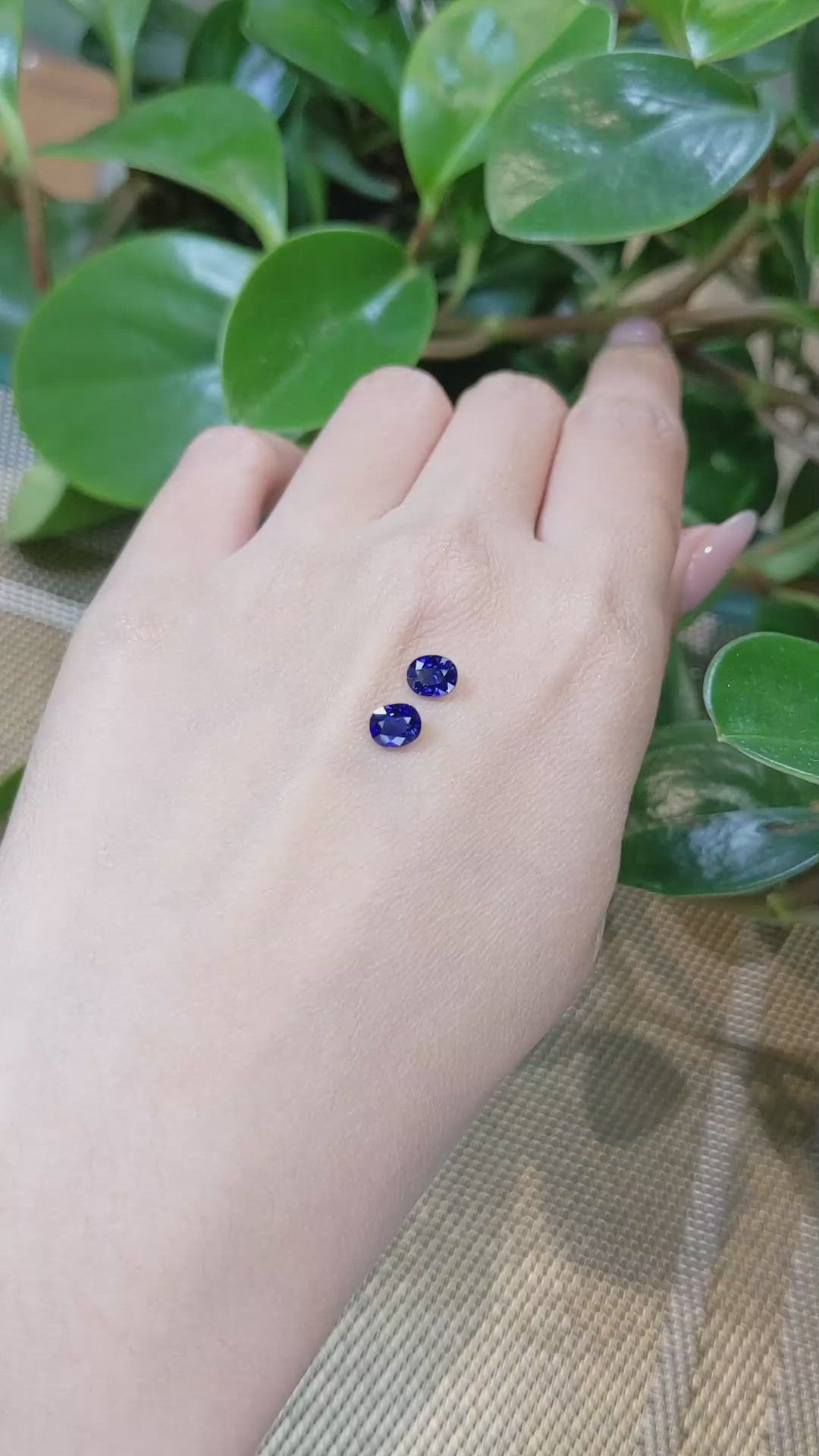 1.55 Ct.Tw.Total Carat Weight Blue Sapphire Pair from Ceylon (Sri Lanka) Size Video