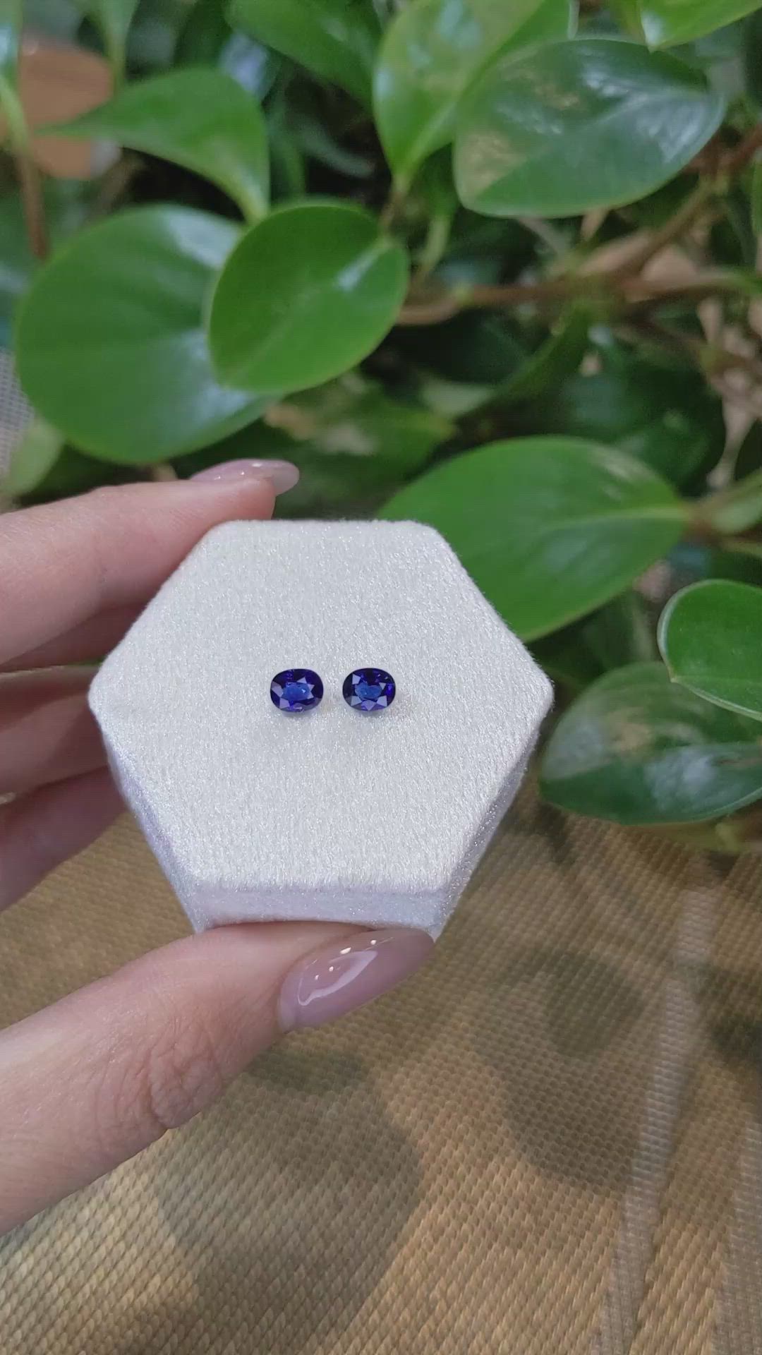 1.55 Ct.Tw.Total Carat Weight Blue Sapphire Pair from Ceylon (Sri Lanka) Size Video