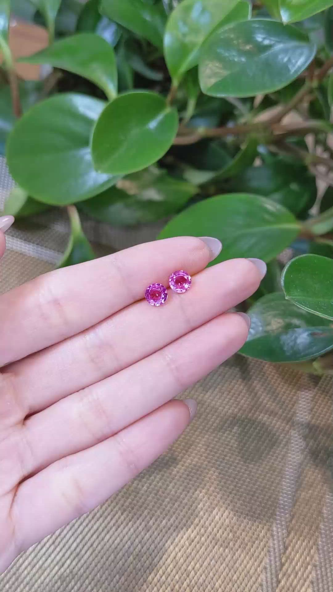 1.86&nbsp;Ct.Tw.Total Carat Weight Pink Sapphire Pair from Ceylon (Sri Lanka) Size Video