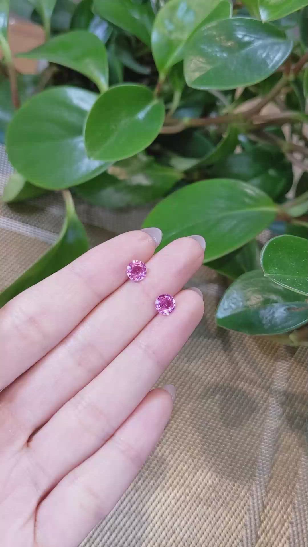 1.86&nbsp;Ct.Tw.Total Carat Weight Pink Sapphire Pair from Ceylon (Sri Lanka) Size Video