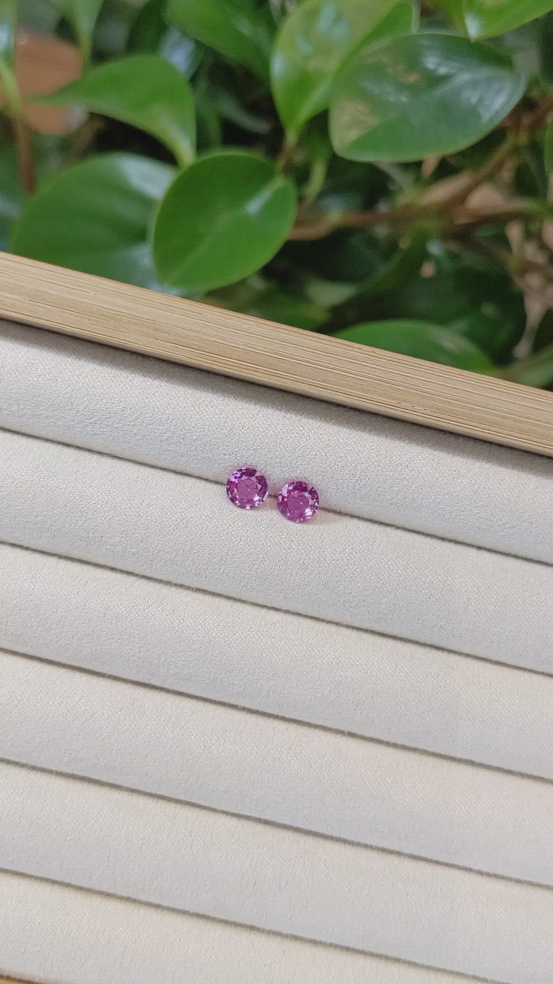1.86&nbsp;Ct.Tw.Total Carat Weight Pink Sapphire Pair from Ceylon (Sri Lanka) Size Video
