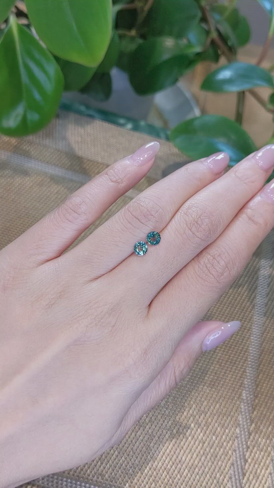 1.13&nbsp;Ct.Tw.Total Carat Weight Bi Color Sapphire Pair from Madagascar Size Video