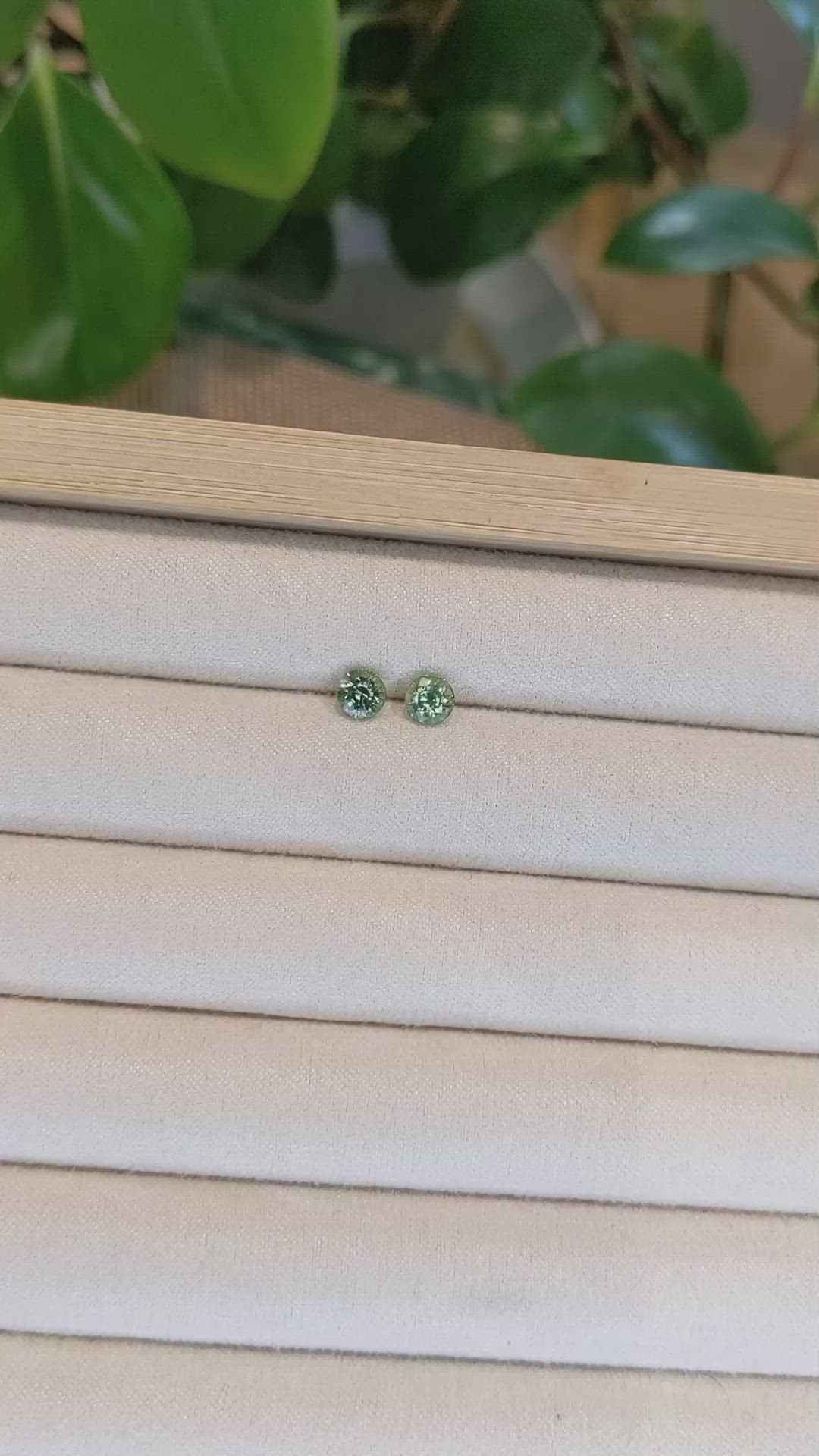 1.35&nbsp;Ct.Tw.Total Carat Weight Yellowish Green Sapphire Pair from Madagascar Size Video