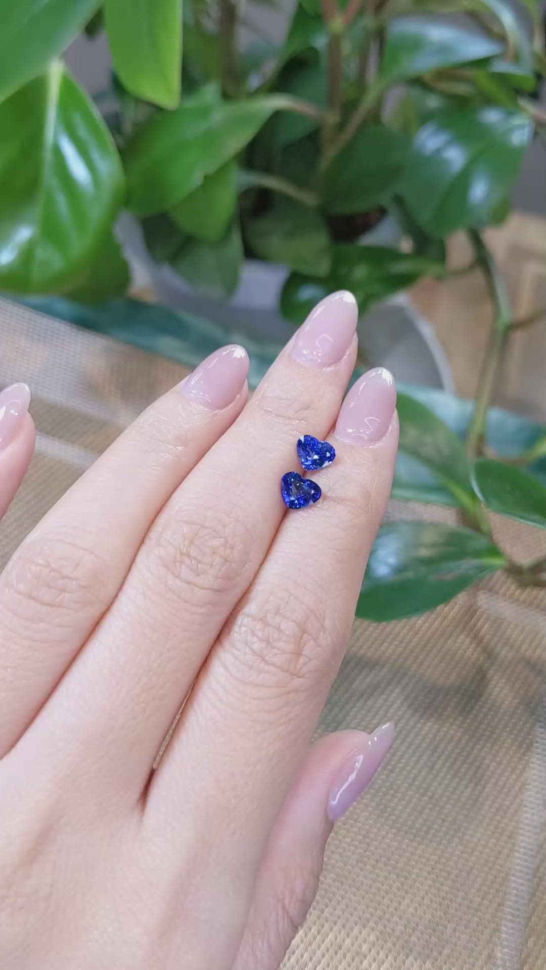 1.78&nbsp;Ct.Tw.Total Carat Weight Blue Sapphire Pair from Ceylon (Sri Lanka) Size Video