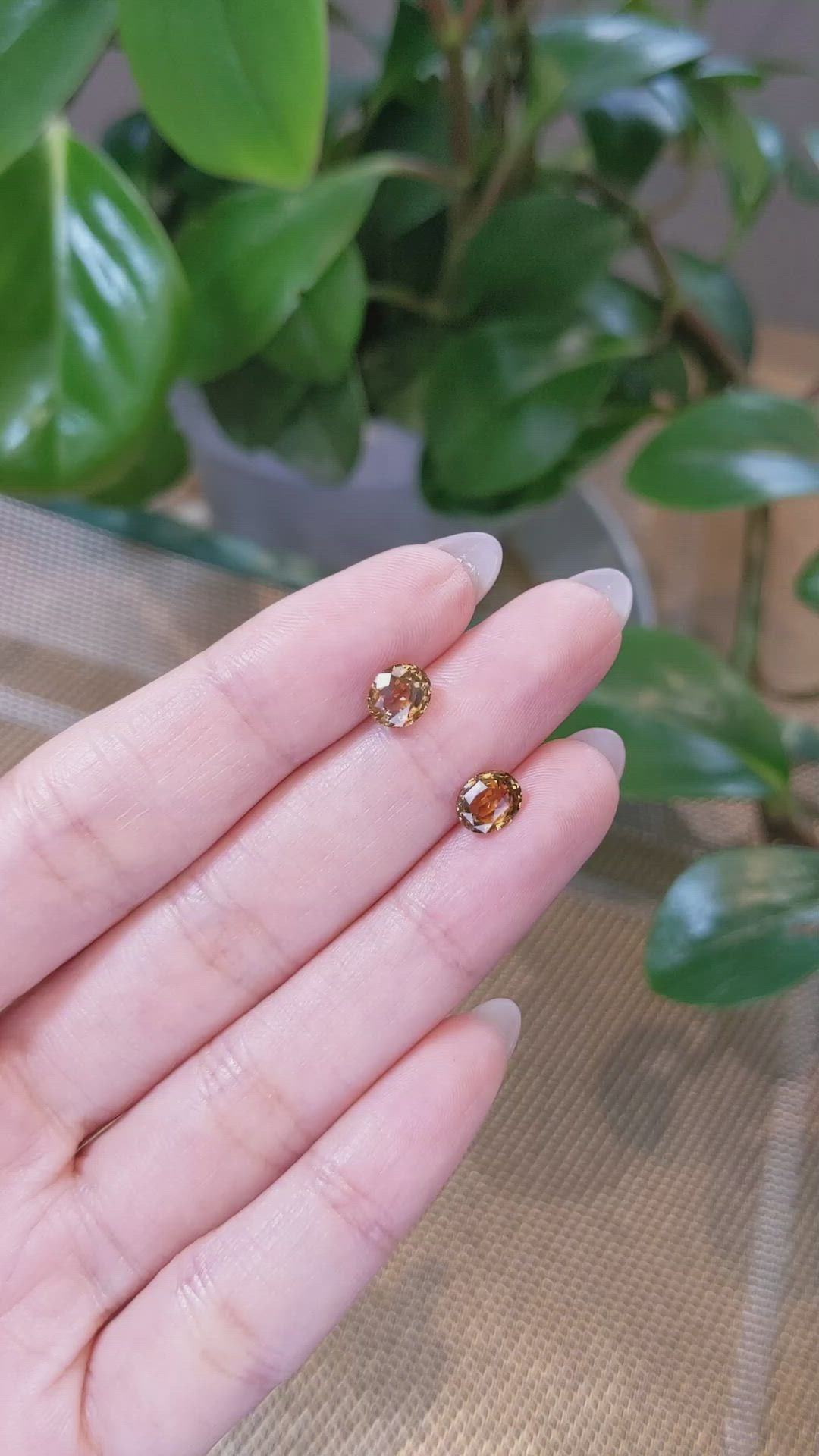 2.28&nbsp;Ct.Tw.Total Carat Weight Bi Color Sapphire Pair from Montana Size Video