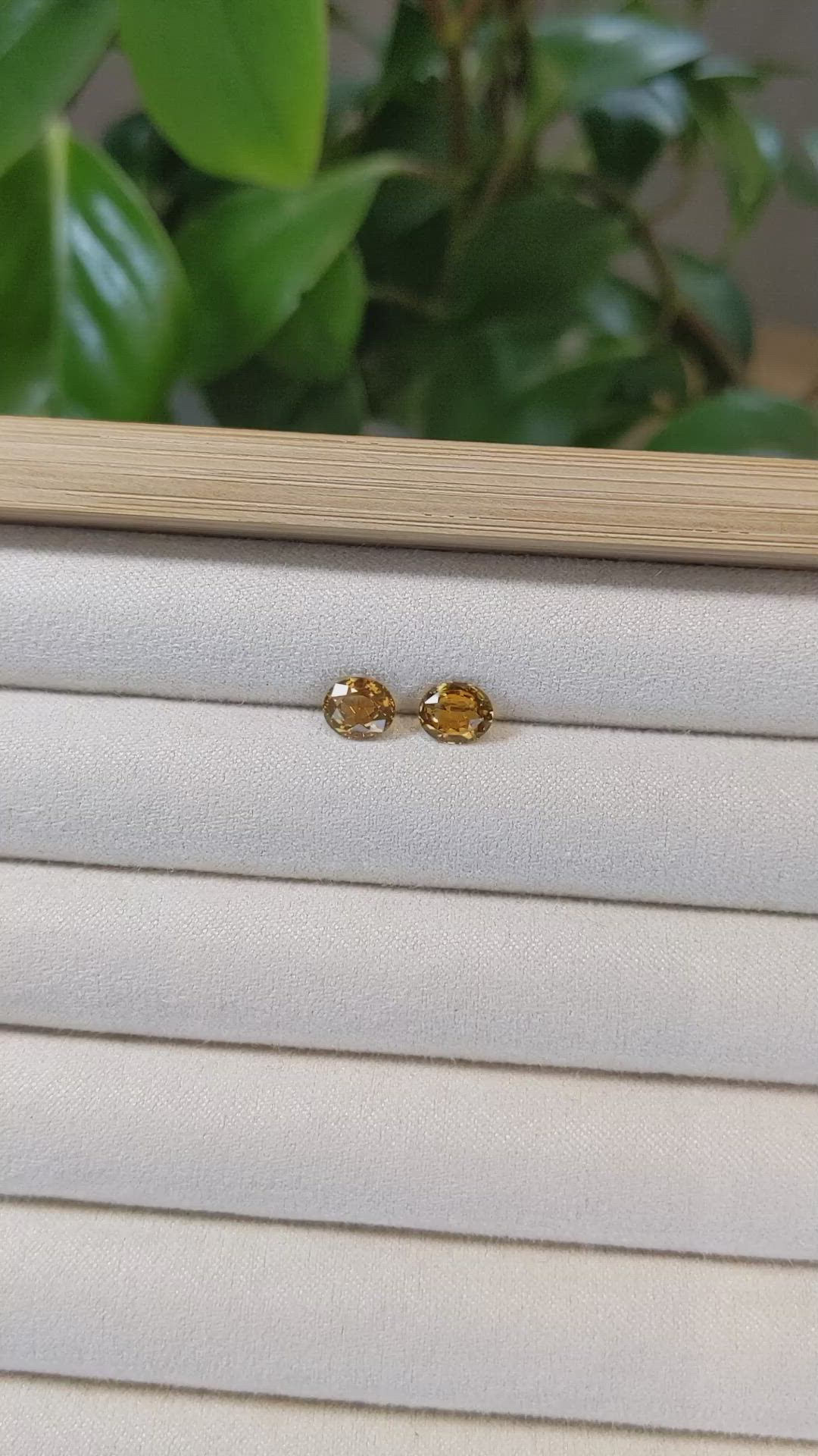 2.28&nbsp;Ct.Tw.Total Carat Weight Bi Color Sapphire Pair from Montana Size Video