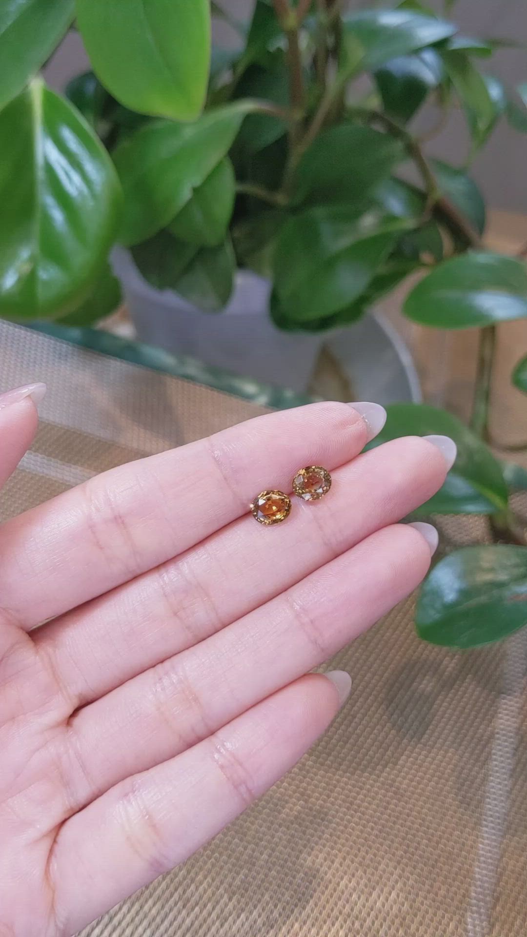 2.28&nbsp;Ct.Tw.Total Carat Weight Bi Color Sapphire Pair from Montana Size Video