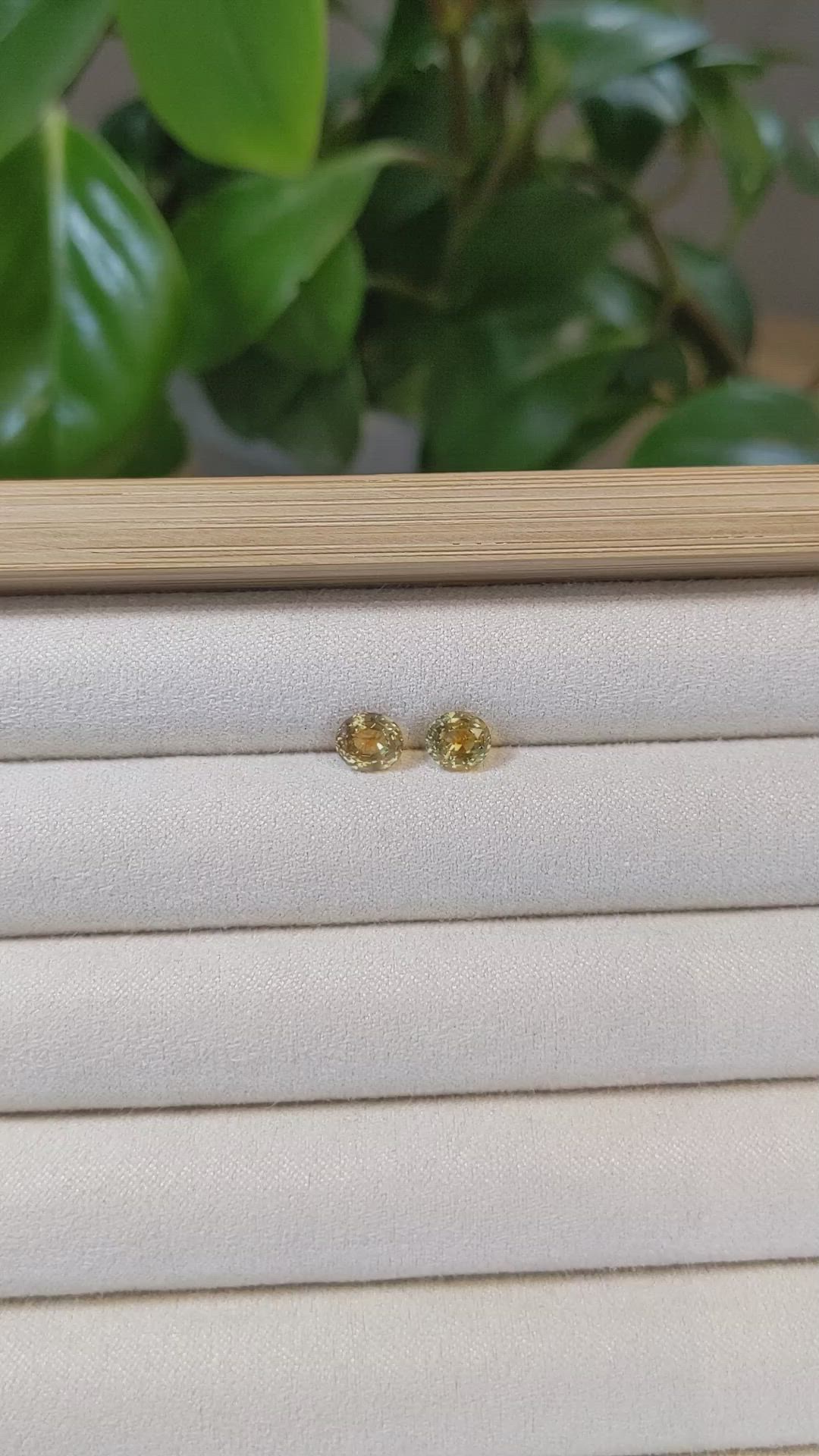 2.20&nbsp;Ct.Tw.Total Carat Weight Bi Color Sapphire Pair from Montana Size Video