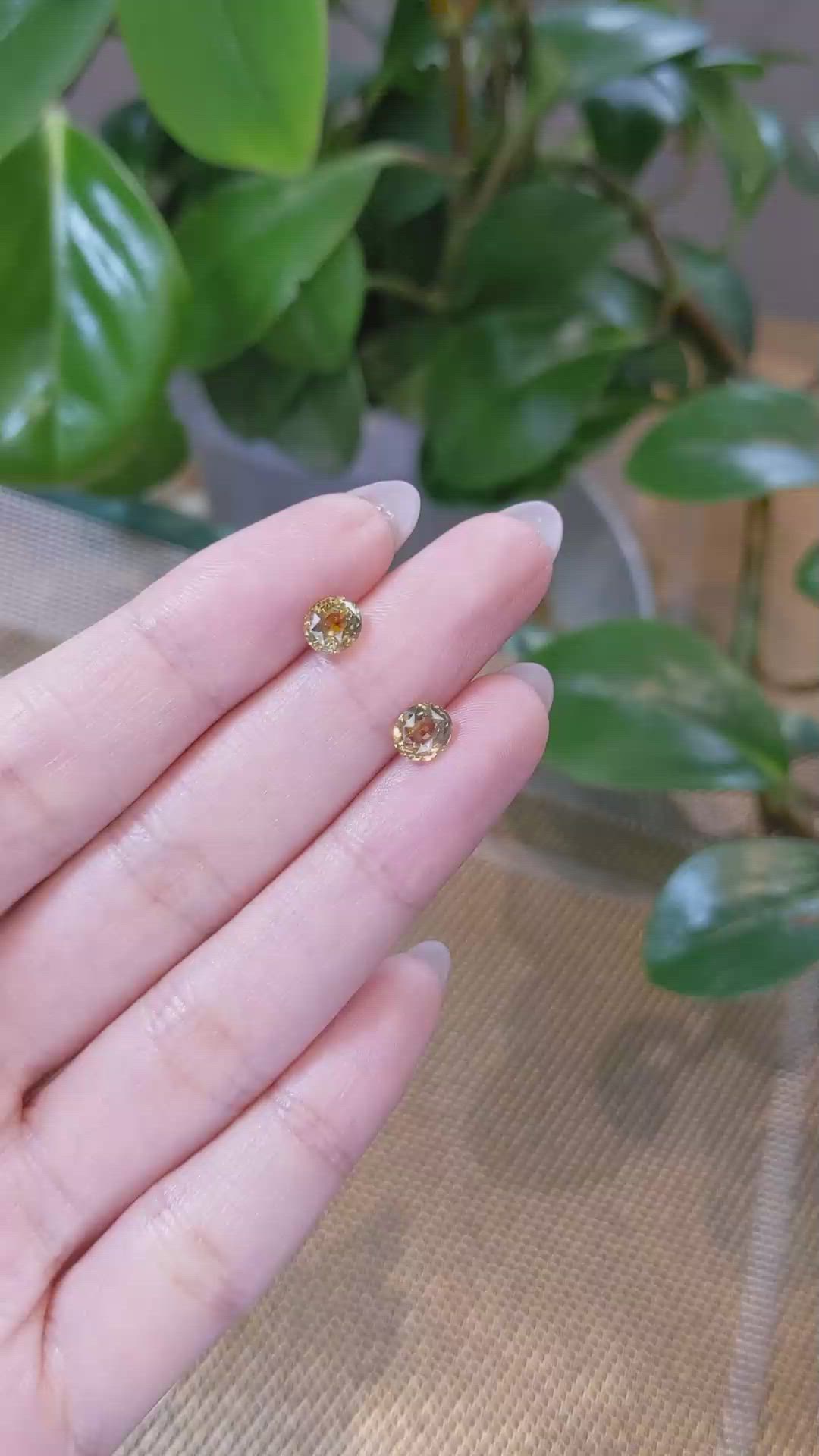 2.20&nbsp;Ct.Tw.Total Carat Weight Bi Color Sapphire Pair from Montana Size Video