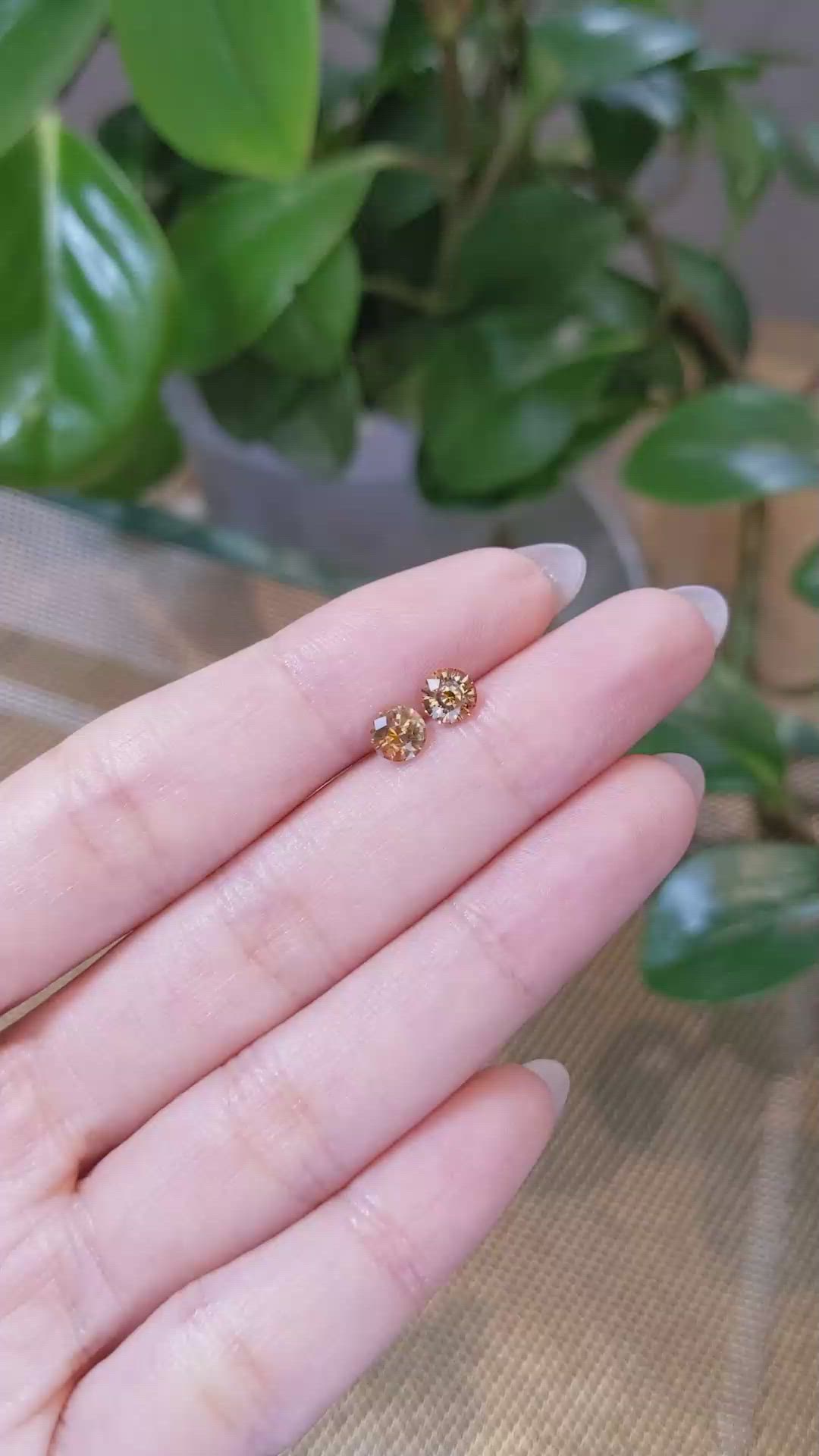 1.42&nbsp;Ct.Tw.Total Carat Weight Bi Color Sapphire Pair from Montana Size Video