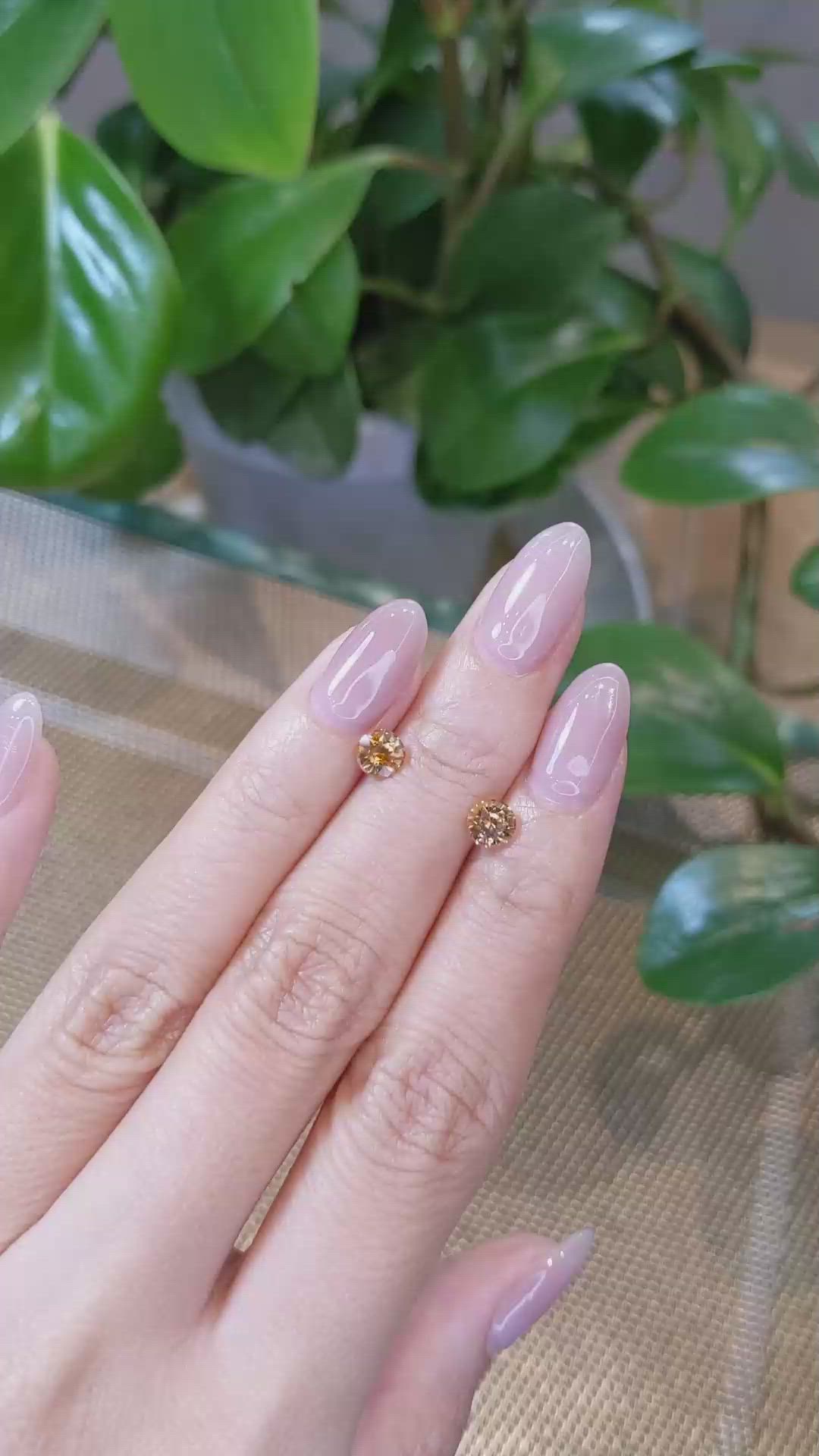 1.42&nbsp;Ct.Tw.Total Carat Weight Bi Color Sapphire Pair from Montana Size Video