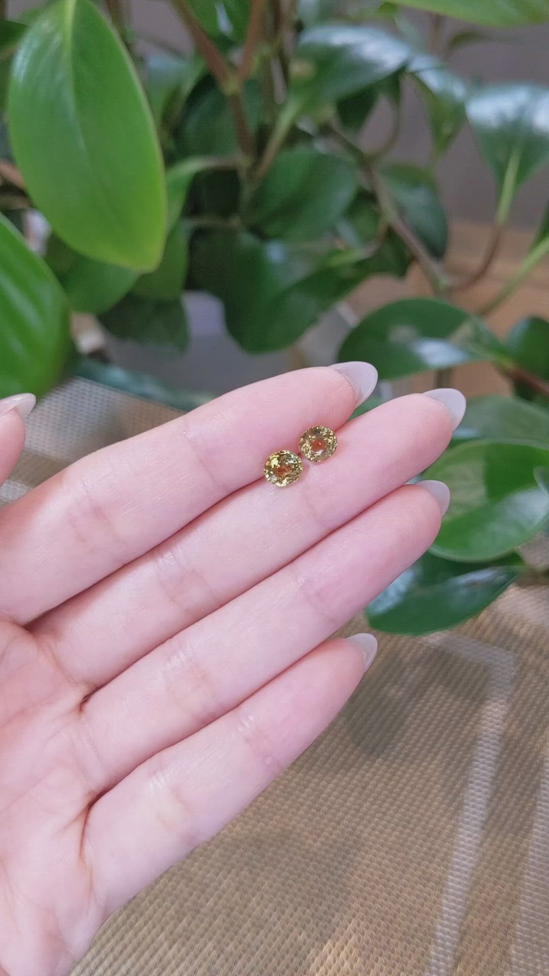 2.08&nbsp;Ct.Tw.Total Carat Weight Yellowish Brown Sapphire Pair from Montana Size Video