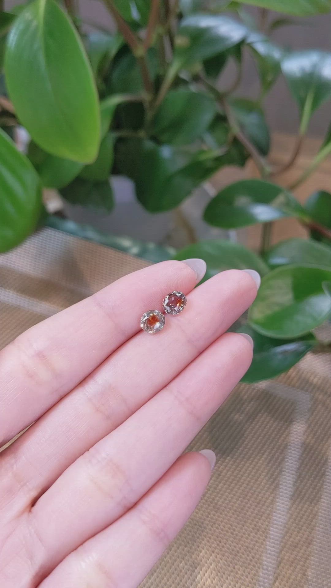 2.42&nbsp;Ct.Tw.Total Carat Weight Bi Color Sapphire Pair from Montana Size Video