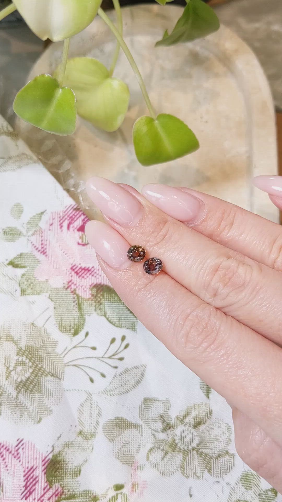 2.12&nbsp;Ct.Tw.Total Carat Weight Bi Color Sapphire Pair from Montana Size Video