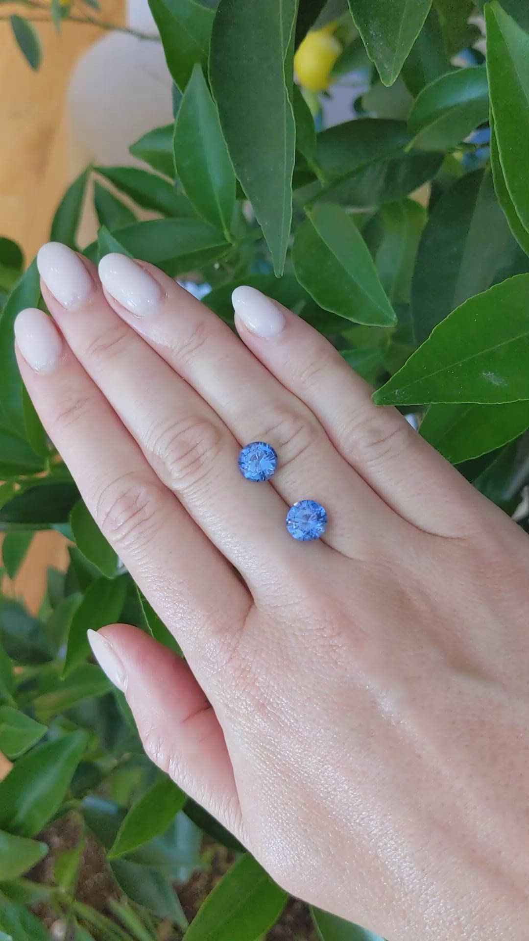 5.13&nbsp;Ct.Tw.Total Carat Weight Blue Sapphire Pair from Ceylon (Sri Lanka) Size Video