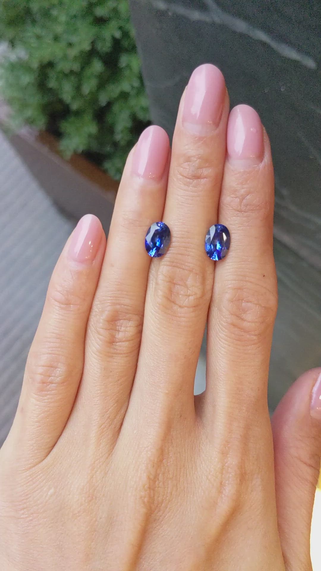 3.70&nbsp;Ct.Tw.Total Carat Weight Blue Sapphire Pair from Ceylon (Sri Lanka) Size Video