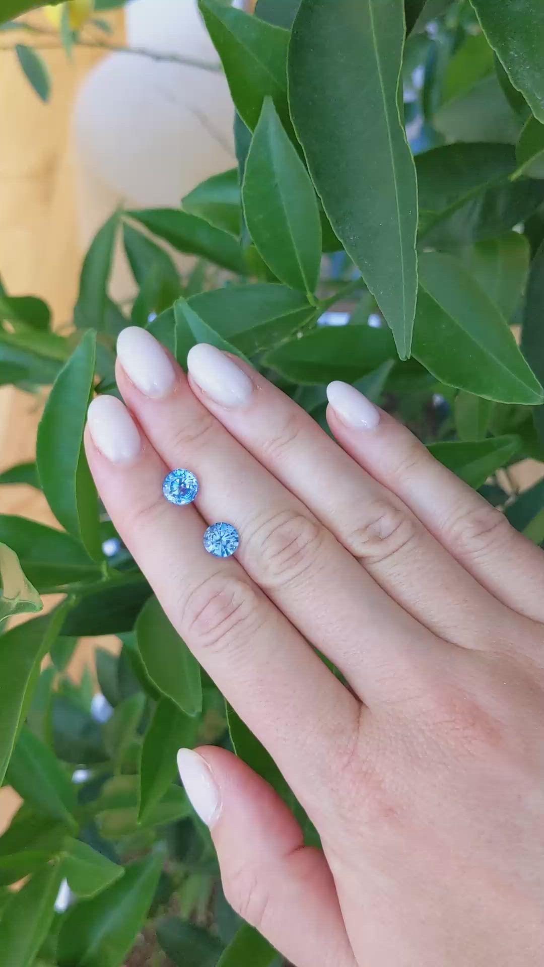 3.24 Ct.Tw.Total Carat Weight Blue Sapphire Pair from Ceylon (Sri Lanka) Size Video