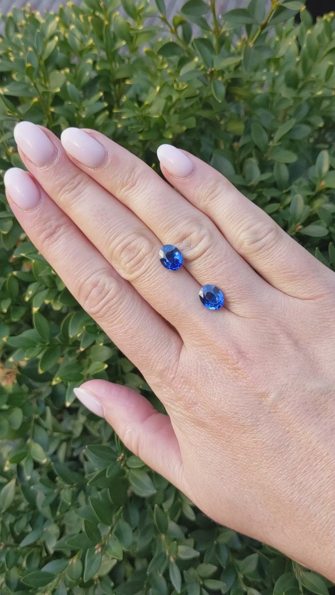 4.11 Ct.Tw.Total Carat Weight Blue Sapphire Pair from Ceylon (Sri Lanka) Size Video